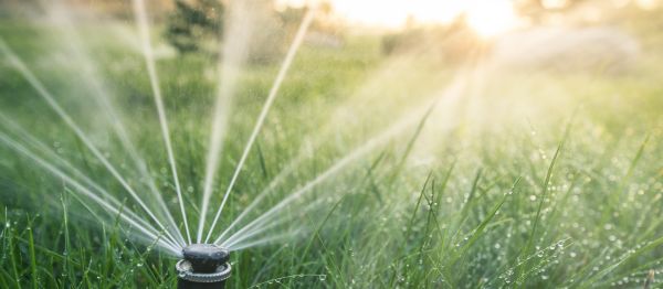 Grow your Lawn Watering business