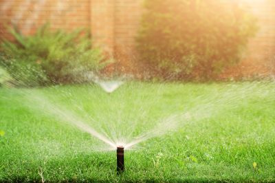 Lawn Watering