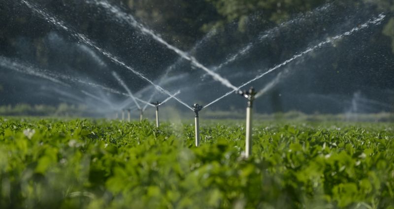 Commercial Irrigation Service in Ventura County, CA