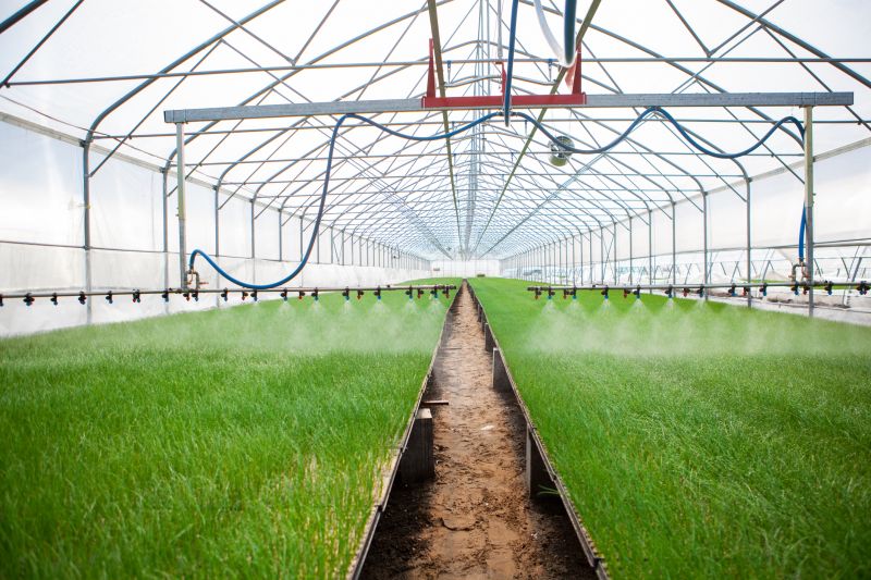 Irrigation System Replacement in Aiken, SC