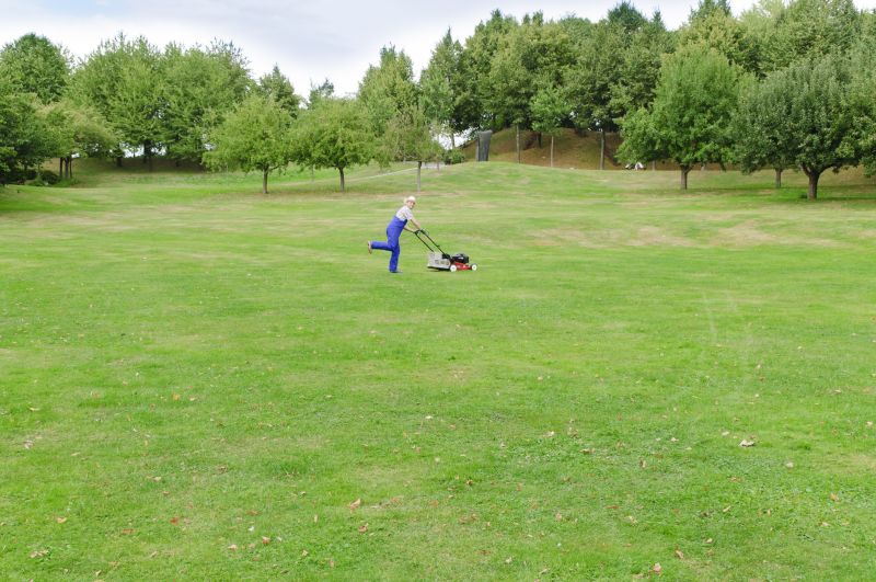 Morning Lawn Watering