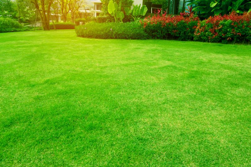 Lawn Maintenance Companies